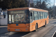 IMG-5206