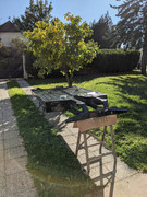 PXL-20211016-125307086.jpg