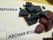 F47429E5-31EB-4F45-8D81-1CEA5AAF853E