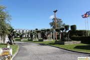 IMG-5827
