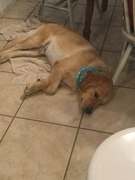 image_2023-02-02_230449770