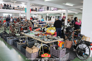 IMG-5181