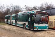 IMG-1578