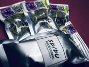 F0D853E9-C74F-4266-9C07-8B8DACF029C7