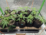 3. PXL_20240802_232959488