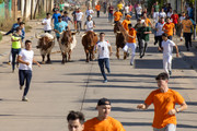 IMG-0465