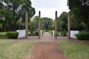 DSC-0038
