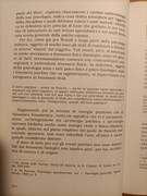 IMG20231121153736
