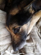 WhatsApp Image 2021-02-17 at 12.22.22 (1)