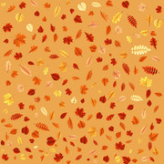 TADD_papiers_Shimmer_Fall_9