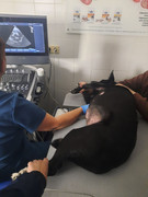 7A42D1D0-5A0F-47D6-831C-8D81C5EC8235