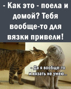 dfe7c77de21fc8ca6851831f876f7a76-(1).jpg