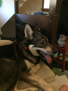 004C4735-2CA9-42E9-9B9B-F1240C940BA8