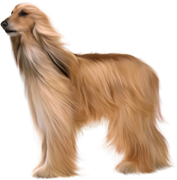 TADD-elements-Last-Dance-In-Paris-41