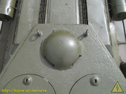 IMG-7546