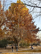 5dfe996bly1i778hfmtcdj22dc35s1l2