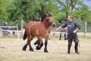 IMG-7333-wynik