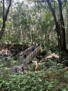IMG-8500