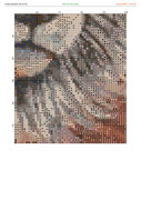 2882121-crosti-ru-color-34
