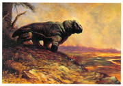 https://i.postimg.cc/sQYr8G4f/Stout-Lystrosaurus-postcard.jpg