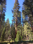 IMG-20180908-153543