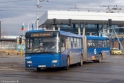 IMG-4517