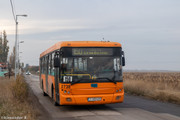 IMG-1153