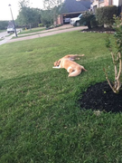 image_2023-02-02_231530436