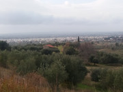 20190211-161908.jpg