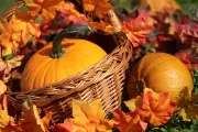 Pumpkins-0049