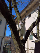 WP-20210308-13-39-14-Rich