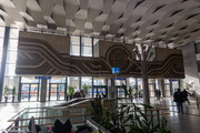 IMG-4490