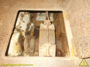 DSCN6522