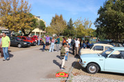 IMG-3622