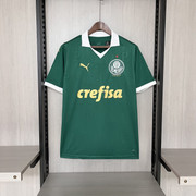 Palmeiras-Torcedor-I-24-25.jpg