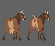 deerForm_8bit feral