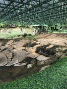 IMG-8344