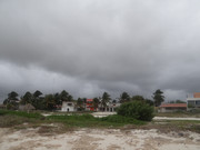 DSC00485