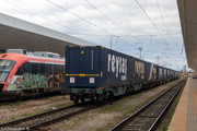 IMG-2773