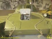 IMG-3622