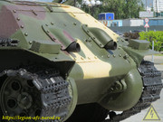 IMG-3490