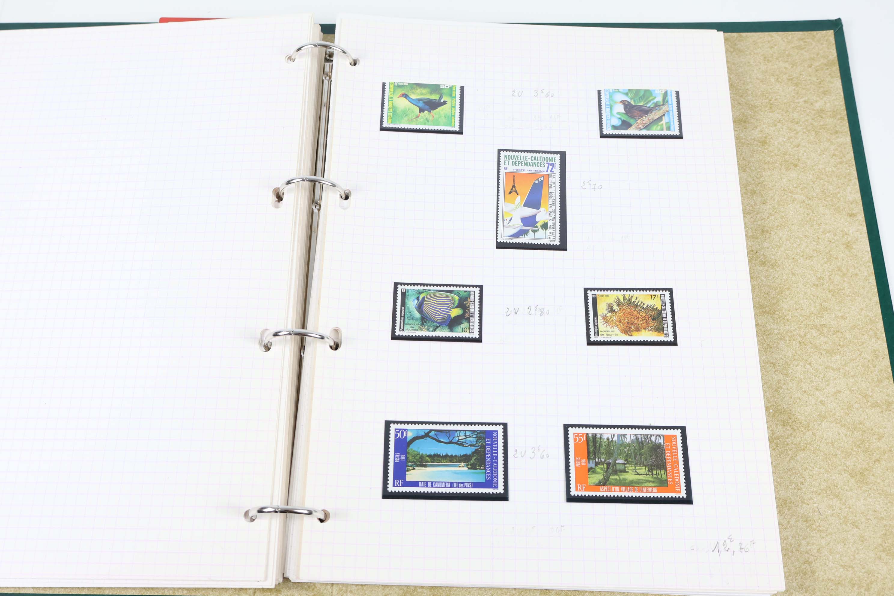 IMG-8178