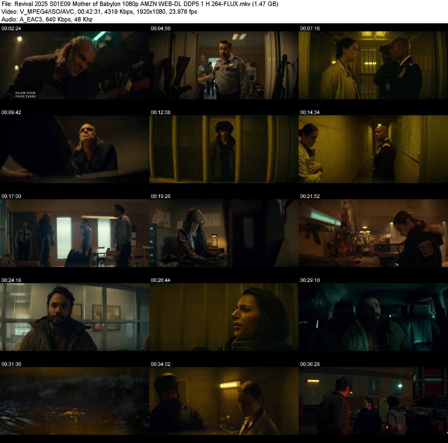 [Image: rg602nmt6frf.jpg]