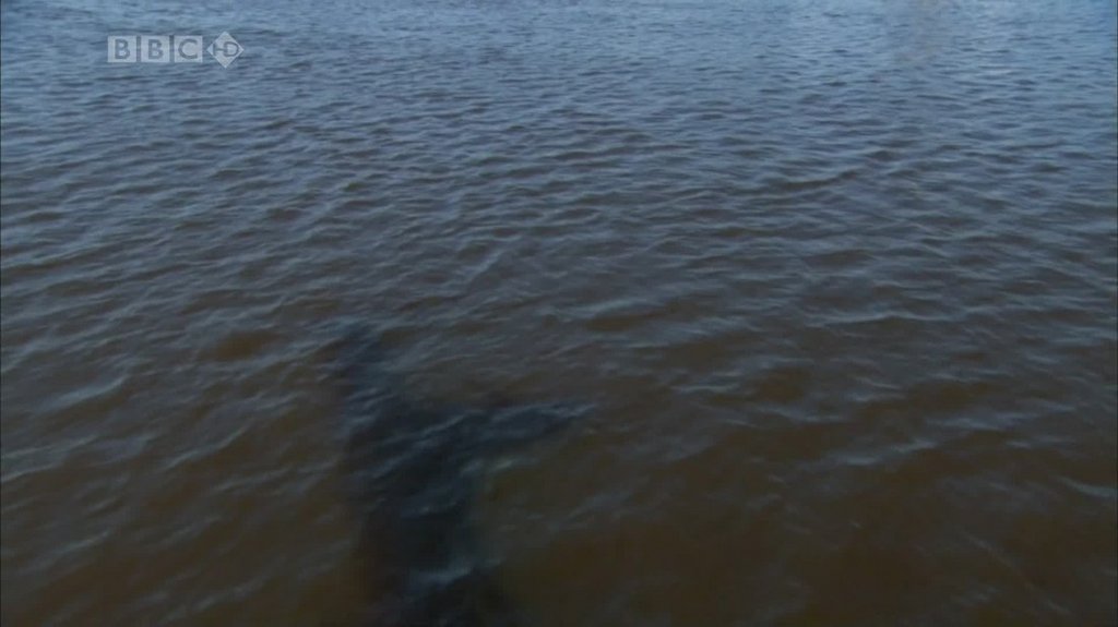 [Image: 4bgj73fnlir3.jpg]