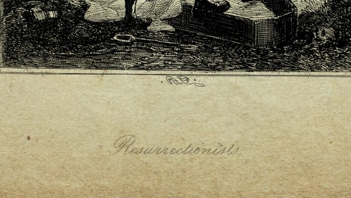 [Image: 2pa4xe82uoxo.png]