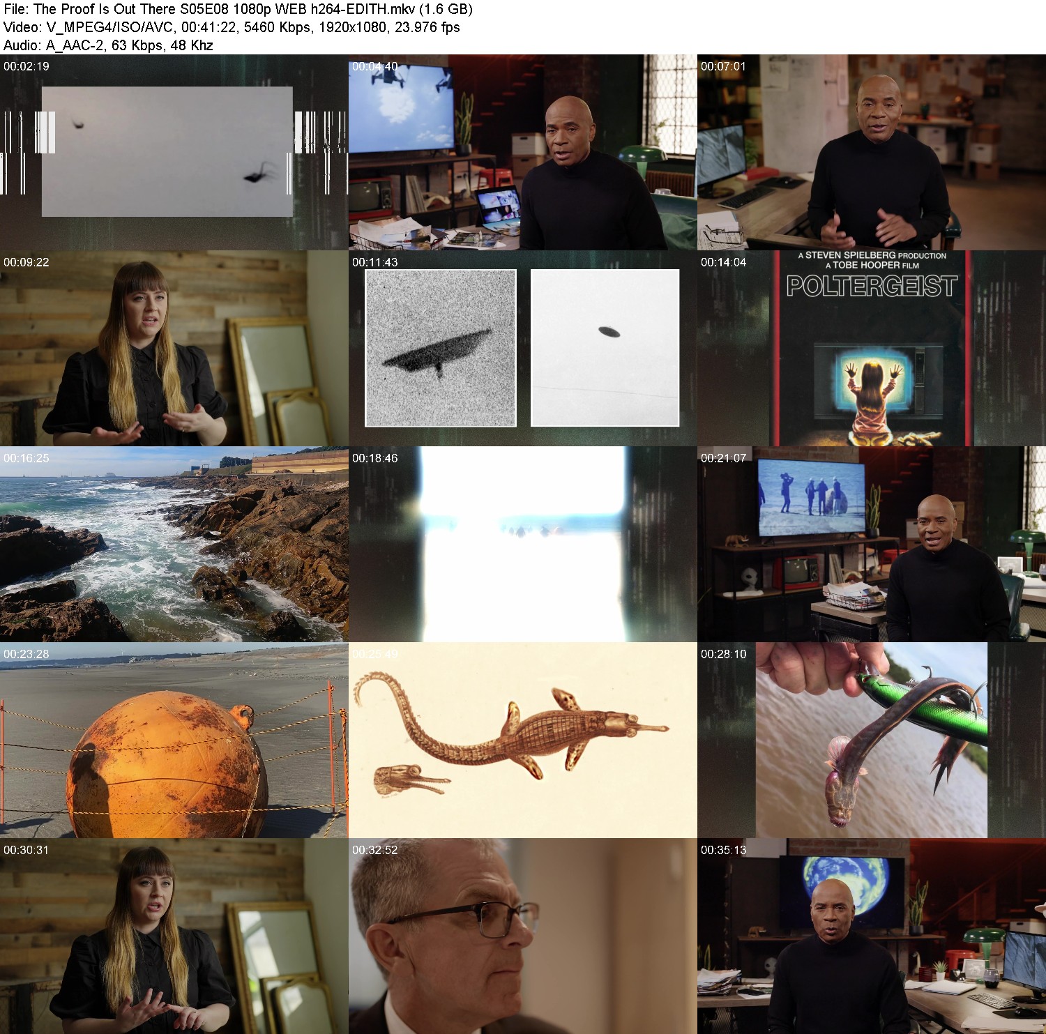 [Image: rbwl5flaj561.jpg]