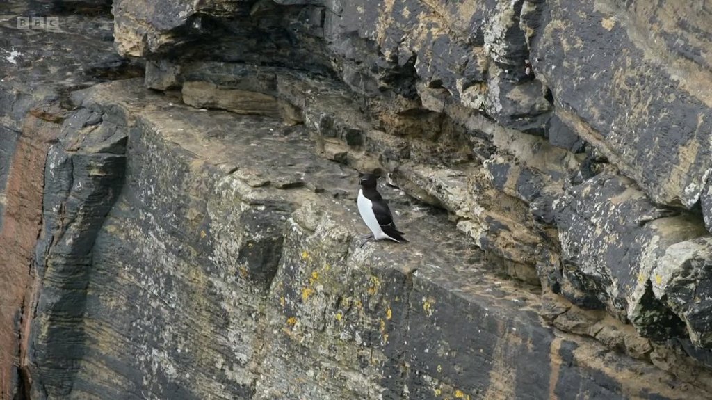 [Image: 4d3lg0bni0ox.jpg]