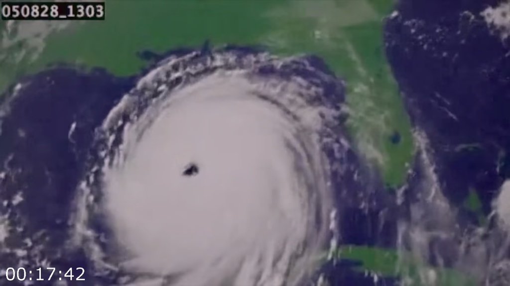 [Image: h8df0vbu9hc2.png]