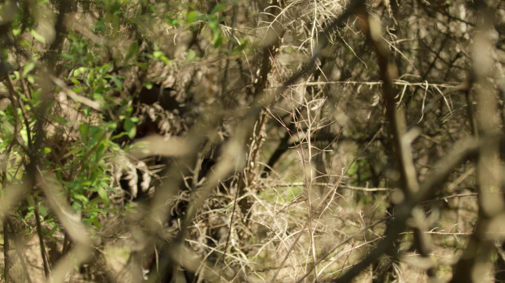 [Image: 2rku23sbxmc6.png]