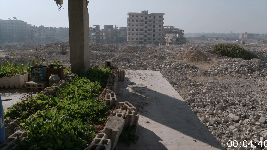 [Image: pi3c1odo2zm9.png]